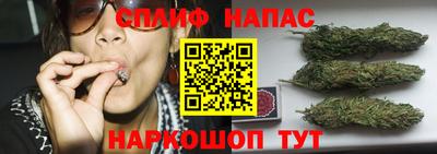 кокс Обь