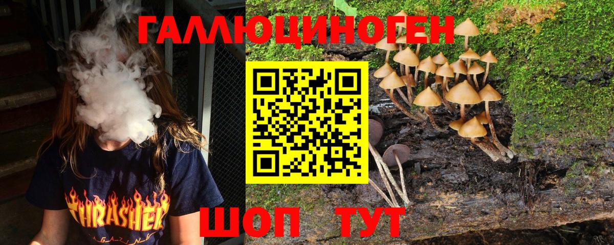 Псилоцибиновые грибы мицелий Саянск