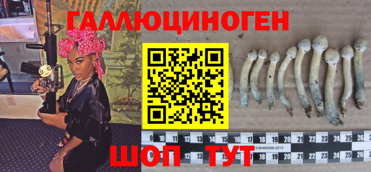 Псилоцибиновые грибы Psilocybe  Галлюциногенные грибы Psilocybe  Саянск  цена   Вход с VPN 
